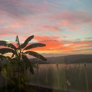 Meet your Posher, Judith